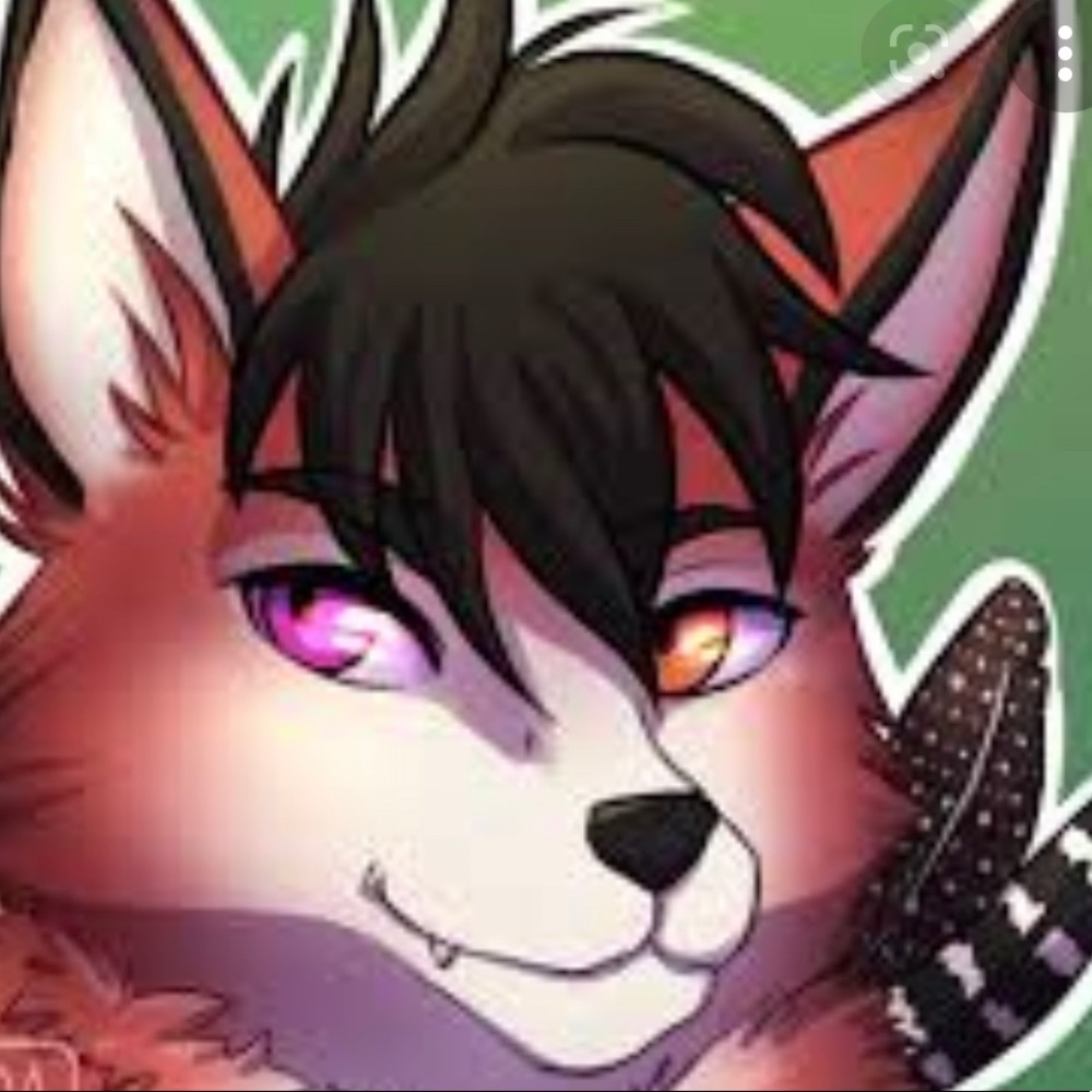 Meet your Posher, Birdy